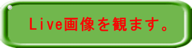 Live�摜���ς܂��B 