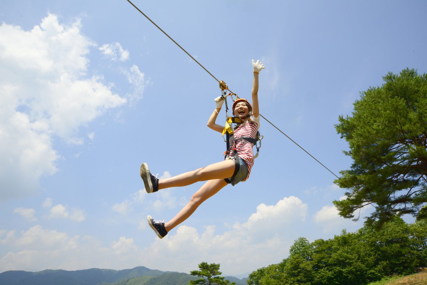 Zipline Adventure Open お知らせ The Madarao